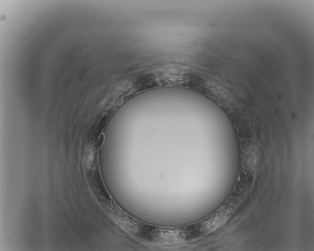 X0000064770709200602131316