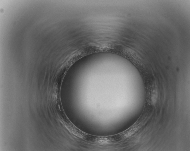 X0000064770710200602131316