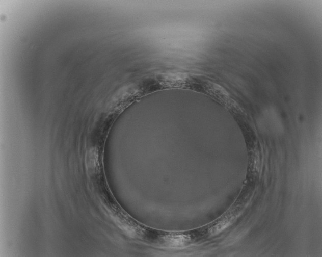 X0000064770711200602131316