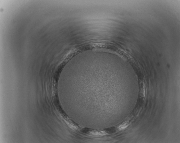 X0000064770712200602131316