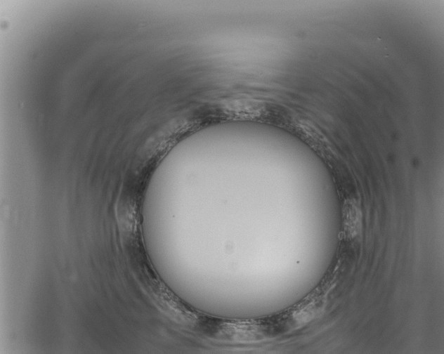 X0000064770713200602131316