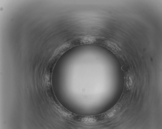 X0000064770714200602131316