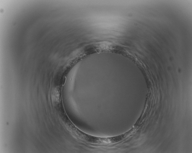 X0000064770715200602131316