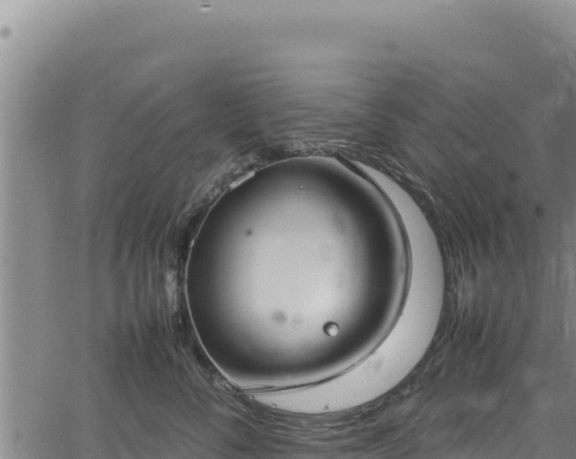 X0000064770716200602131316