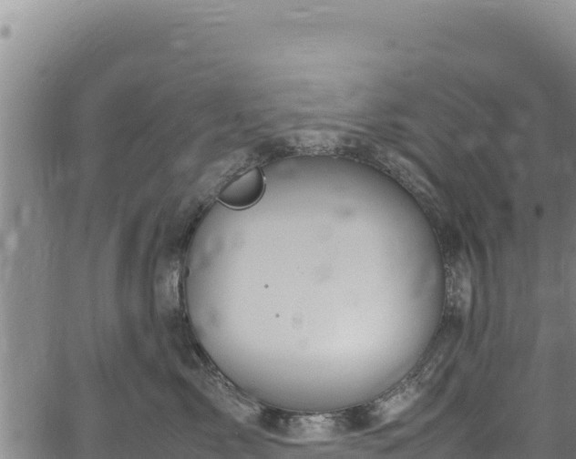 X0000064770717200602131316