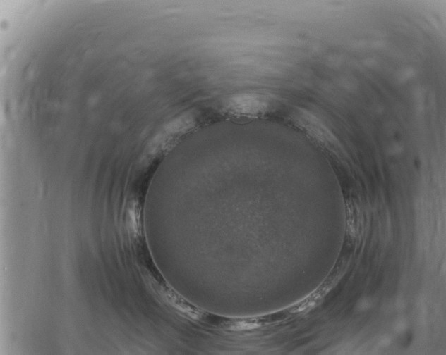 X0000064770718200602131316