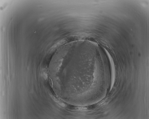 X0000064770719200602131316