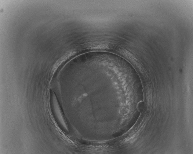 X0000064770721200602131316