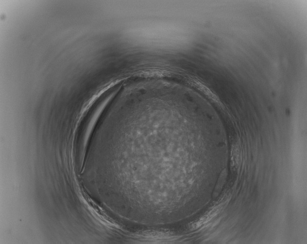 X0000064770722200602131316