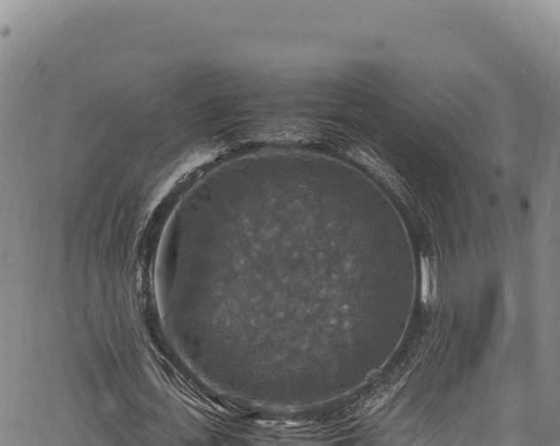 X0000064770723200602131316