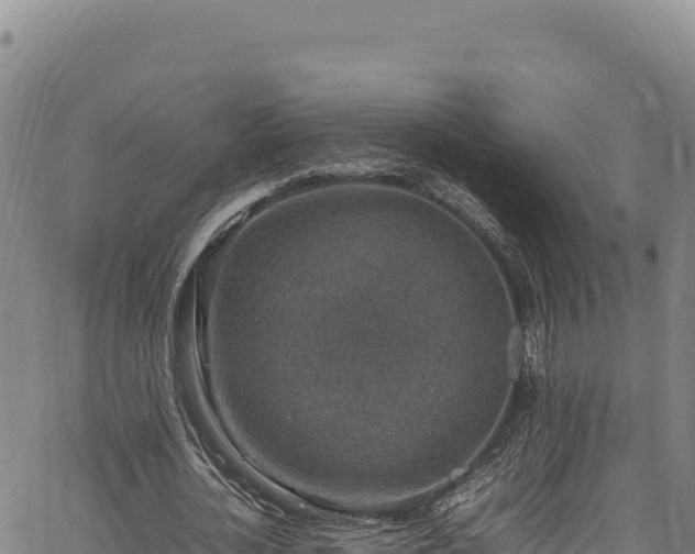 X0000064770724200602131316