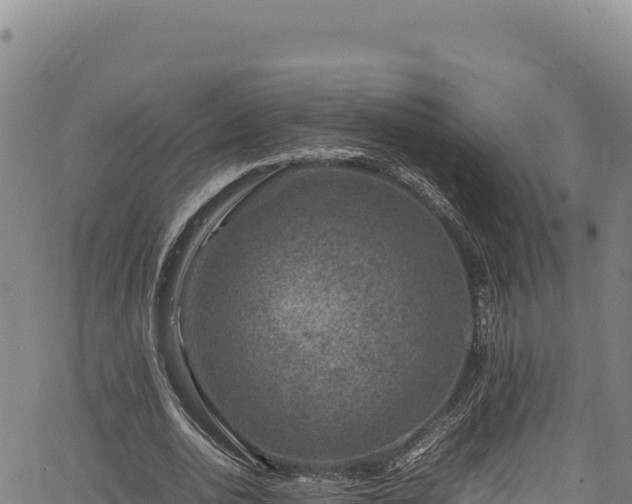 X0000064770726200602131316