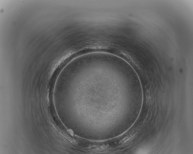 X0000064770727200602131316