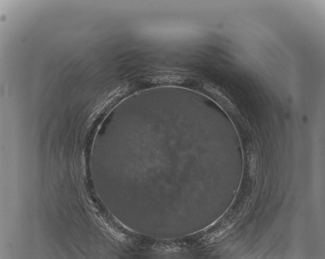 X0000064770729200602131316