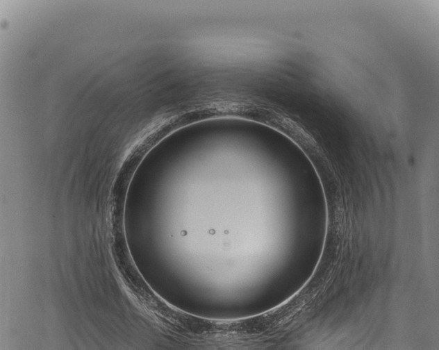 X0000064770730200602131316