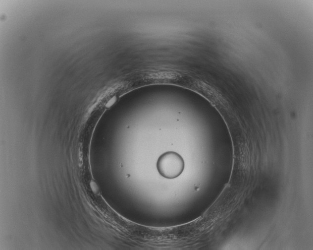 X0000064770731200602131316