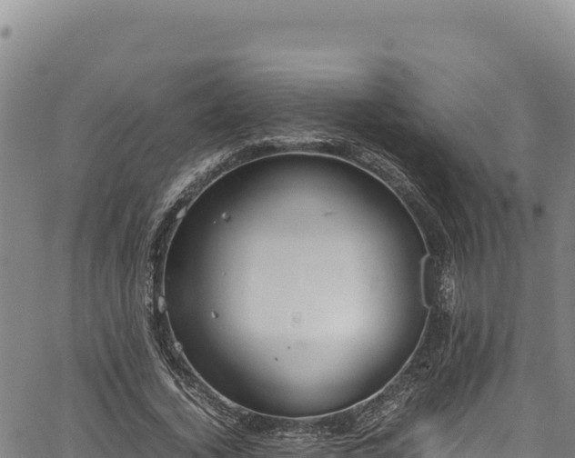 X0000064770732200602131316