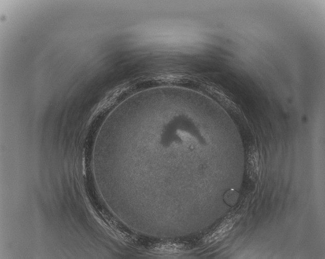 X0000064770734200602131316