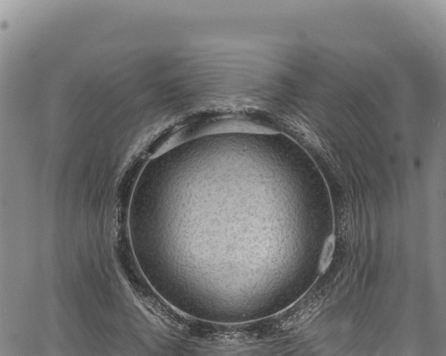 X0000064770736200602131316