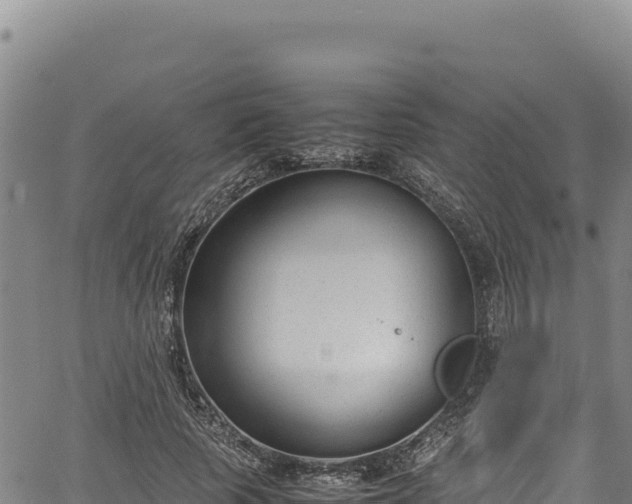 X0000064770737200602131316