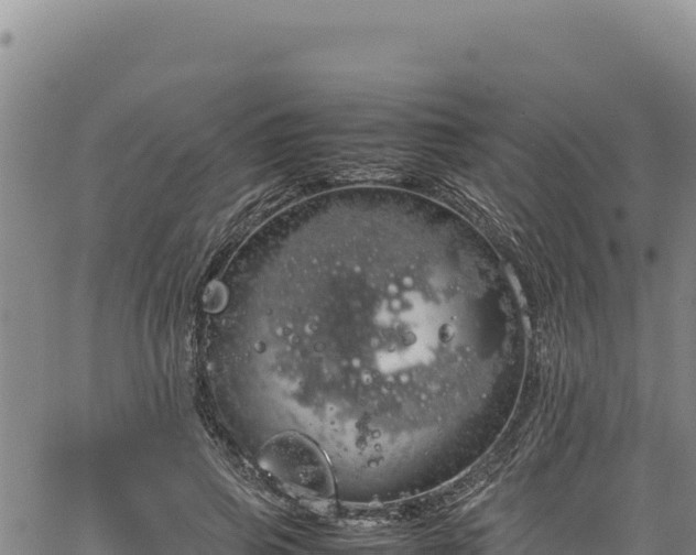 X0000064770741200602131316