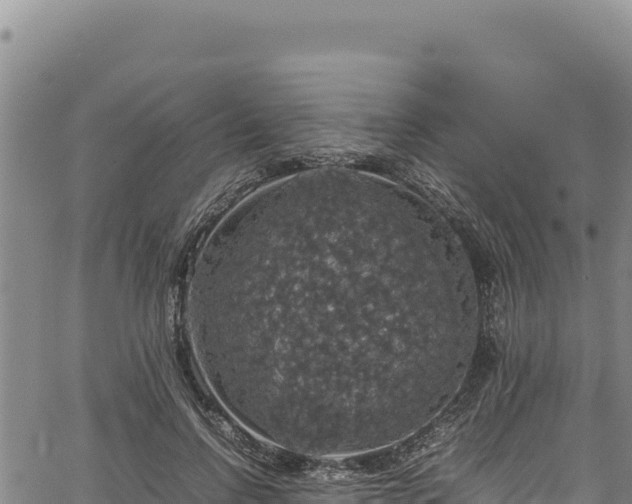 X0000064770742200602131316