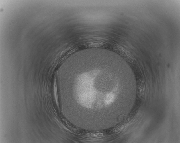 X0000064770745200602131316