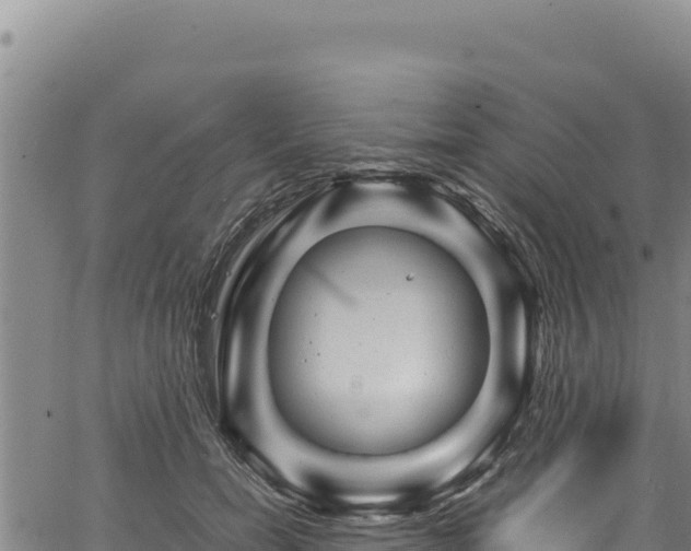 X0000064770750200602131316