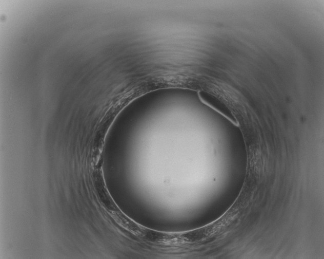 X0000064770752200602131316