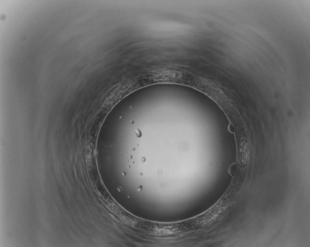 X0000064770753200602131316