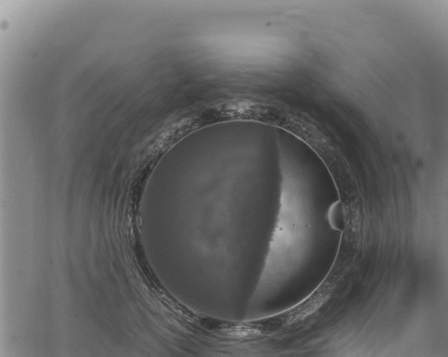 X0000064770754200602131316