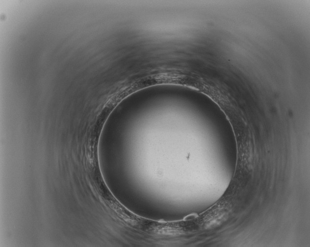 X0000064770755200602131316