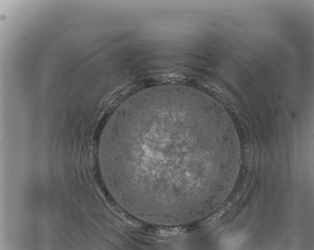 X0000064770757200602131316