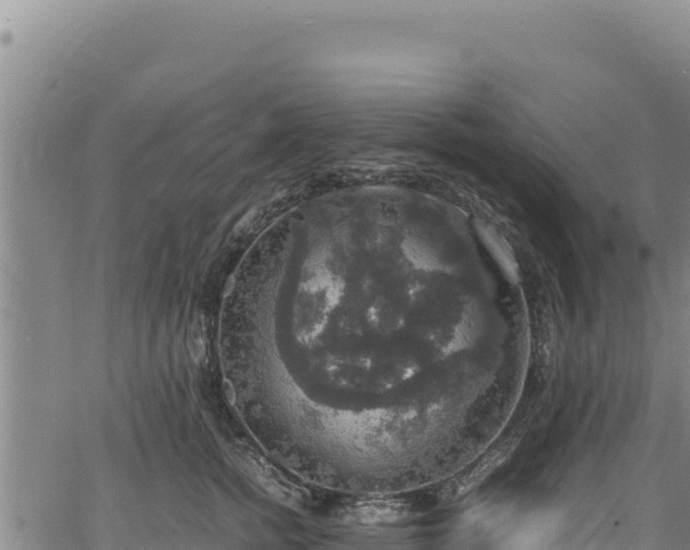 X0000064770758200602131316