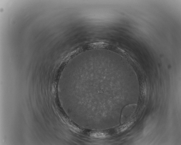 X0000064770759200602131316