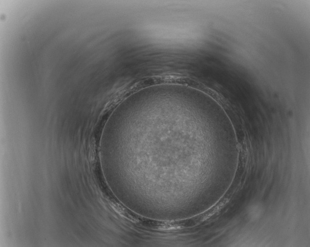 X0000064770760200602131316