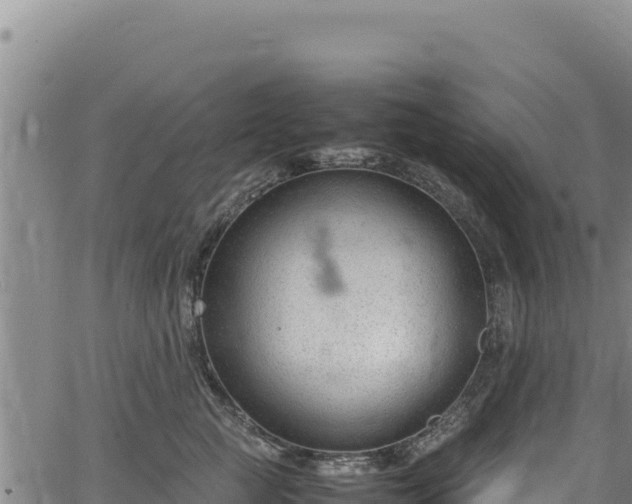 X0000064770761200602131316