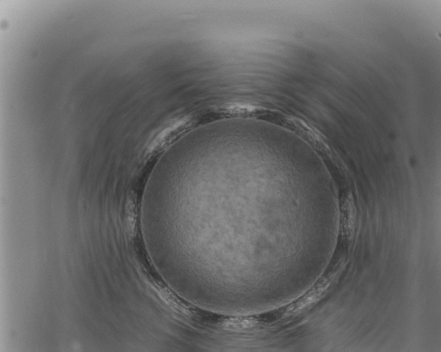 X0000064770762200602131316