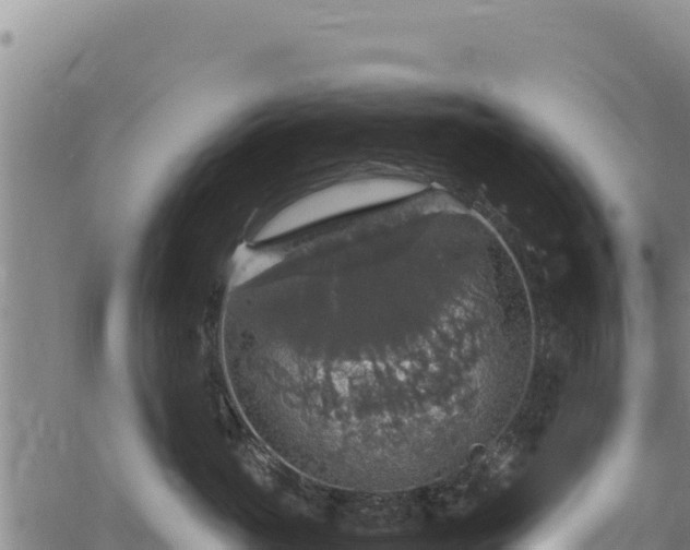 X0000064770765200602131316