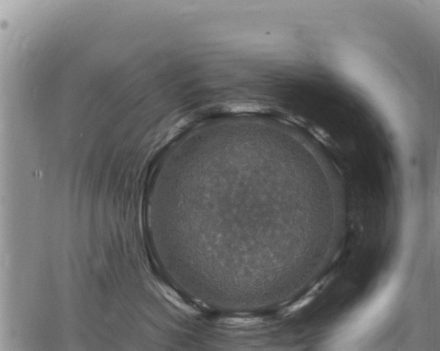 X0000064770766200602131316