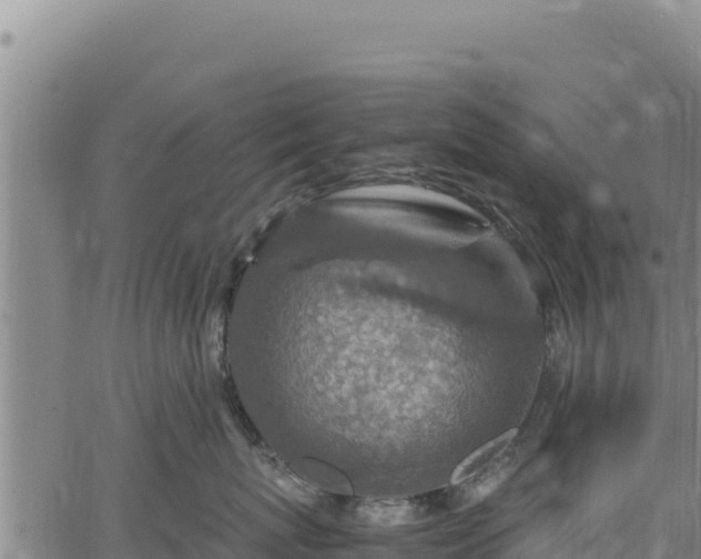 X0000064770767200602131316