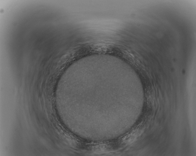 X0000064770769200602131315