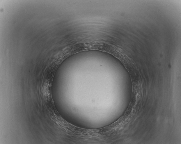 X0000064770770200602131315