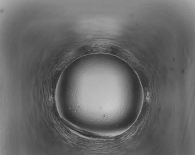 X0000064770771200602131315