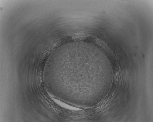 X0000064770772200602131315