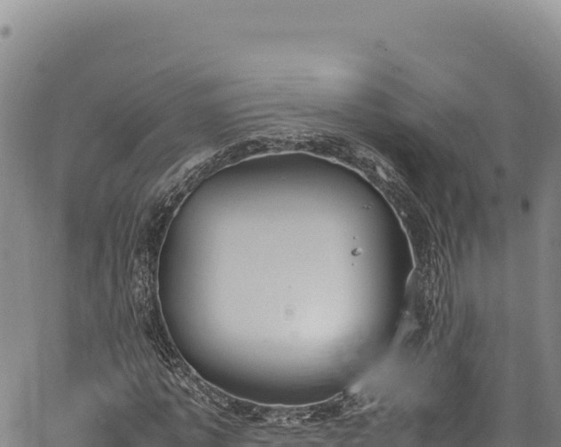 X0000064770773200602131315