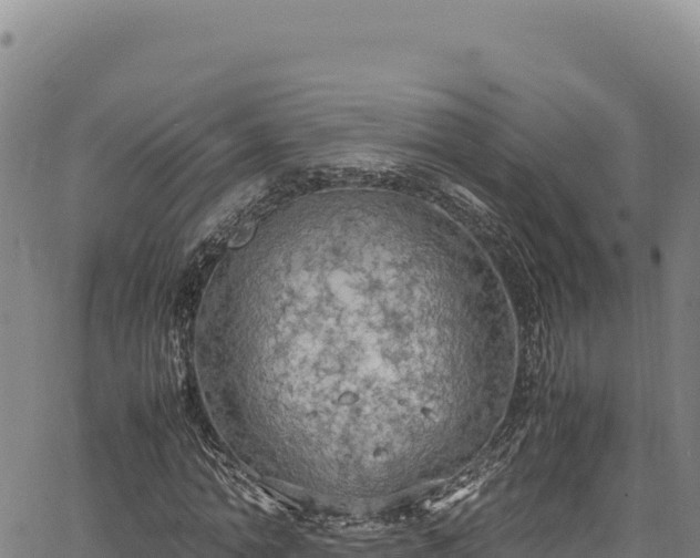 X0000064770774200602131315