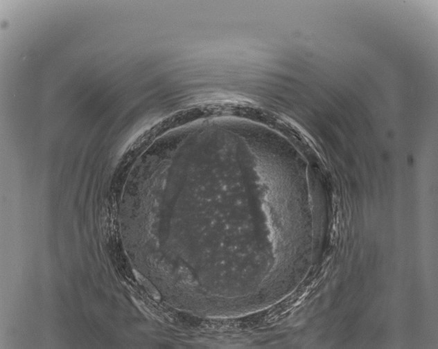 X0000064770775200602131315