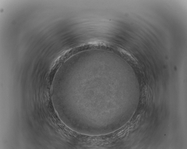 X0000064770776200602131315