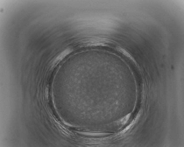 X0000064770777200602131315